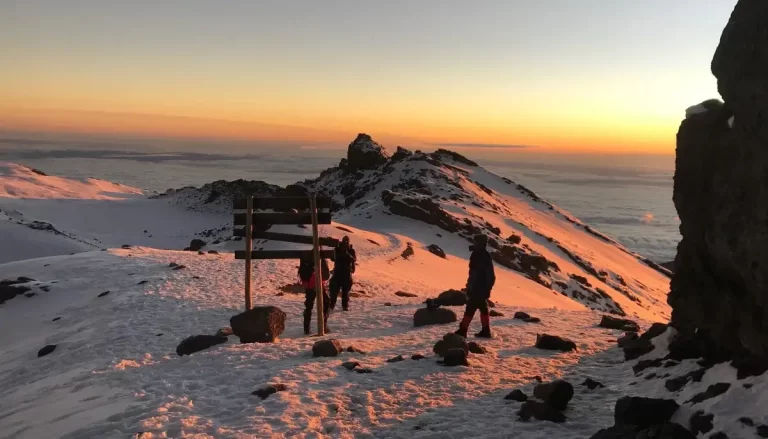 Kilimanjaro Expedition