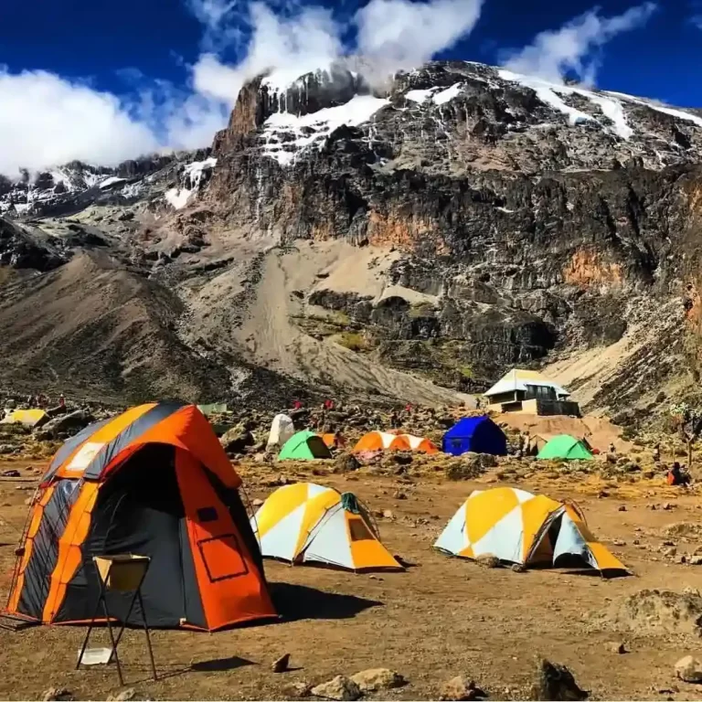 Kilimanjaro unforgettable Umbwe route