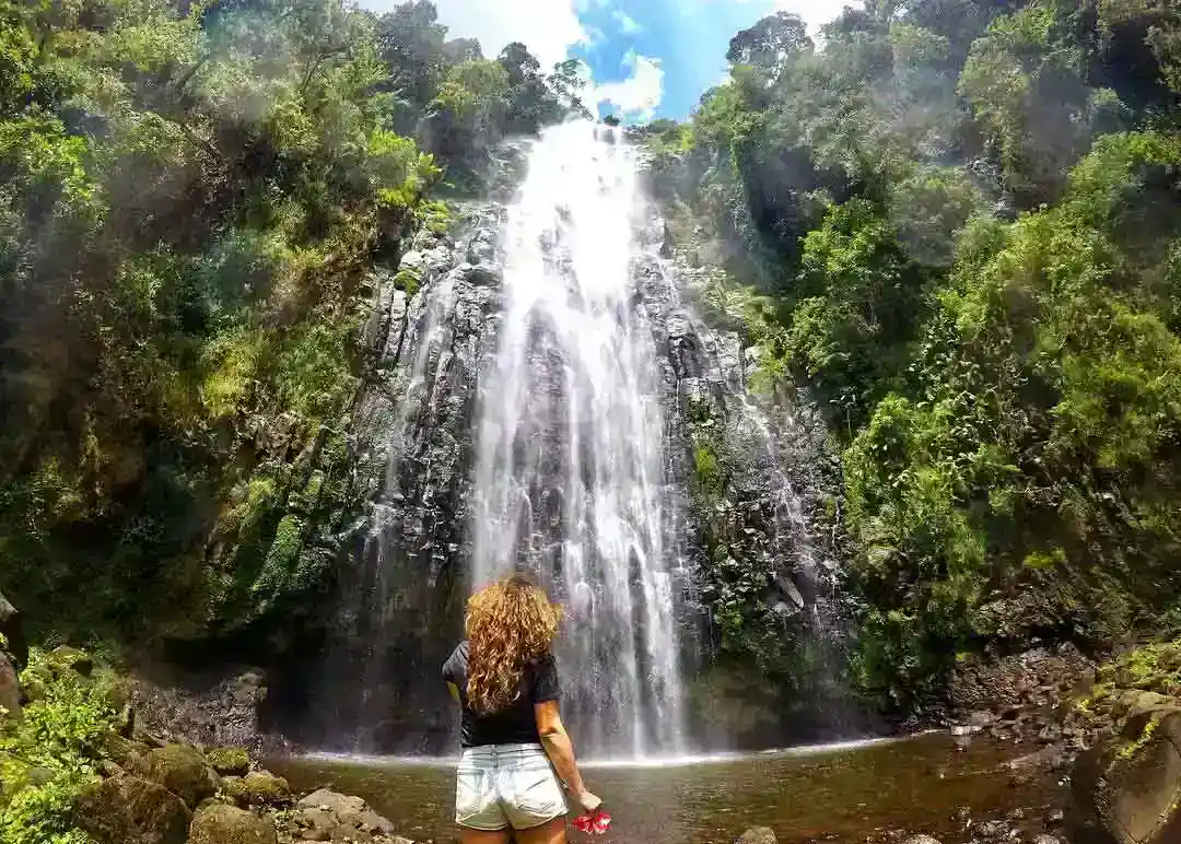 A breathtaking view of Materuni Waterfall surrounded by lush greenery and cascading waters.