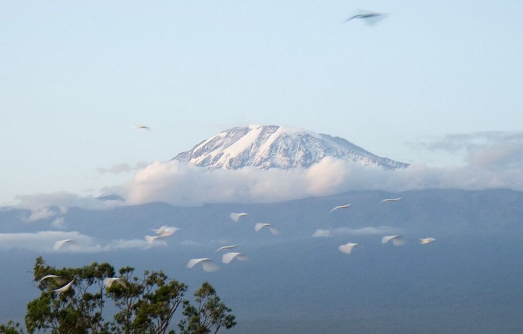 Climbing Kilimanjaro for Beginners