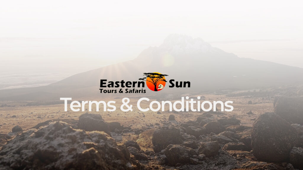 WHITE Terms Conditions